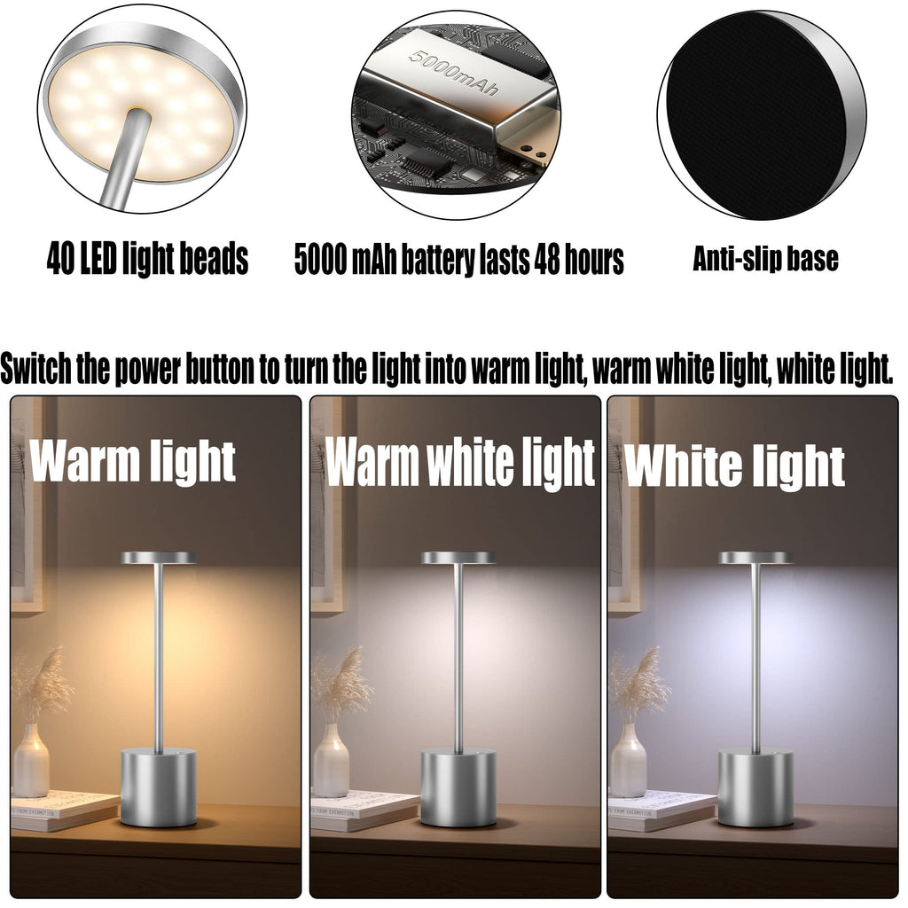 2Pack Cordless Table Lamp, Rechargeable LED Battery 5000mAh Metal USB Portable Powered Desk Lamp, 3 Levels Brightness Light for Restaurants Outdoor (2pack 10.25in Titanium)