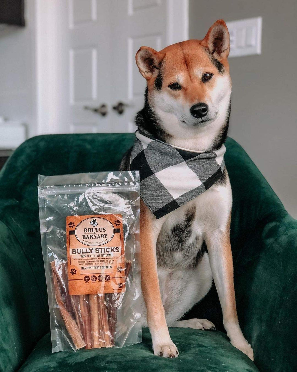 BRUTUS & BARNABY 6 Inch Bully Sticks for Dogs (10 Count) – Natural Grass-Fed Beef Chews, Odor Free, Single Ingredient, Fully Digestible, Rawhide Free for Small, Medium & Large Dogs