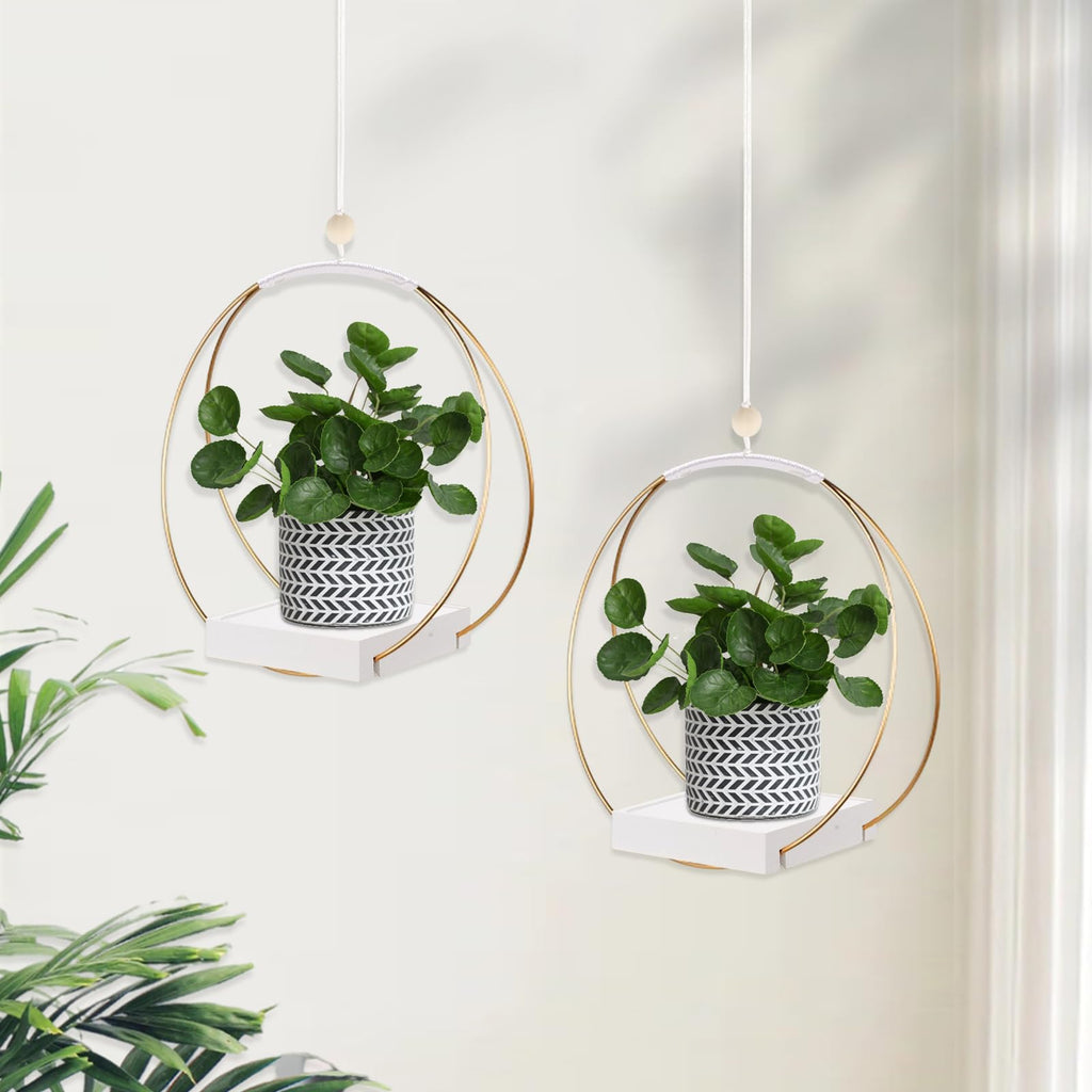 Hanging Planter for Indoor Plants, Black Plant Hanger Indoor with Sturdy Wood Base, Modern Boho Macrame Plant Hanger for 3-5.5 Inch Pot, Hanging Wall Ceiling Window Home Decor (Pots Not Included)