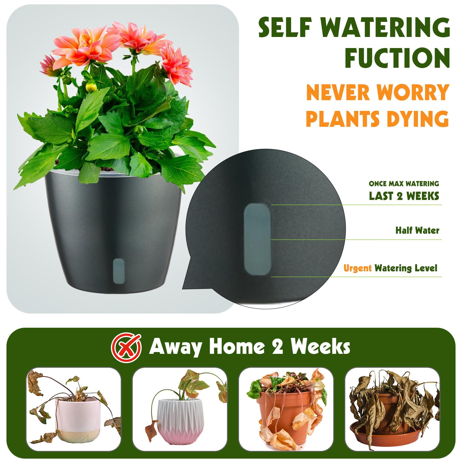 Self-Watering Pots for Indoor Plants, 16-Pack Self Watering Planter with Drainage Holes, Small African Violet Pots with Water Indicator, 10-Pack 5''/6-Pack 6.7'' Orchid Pot, Black
