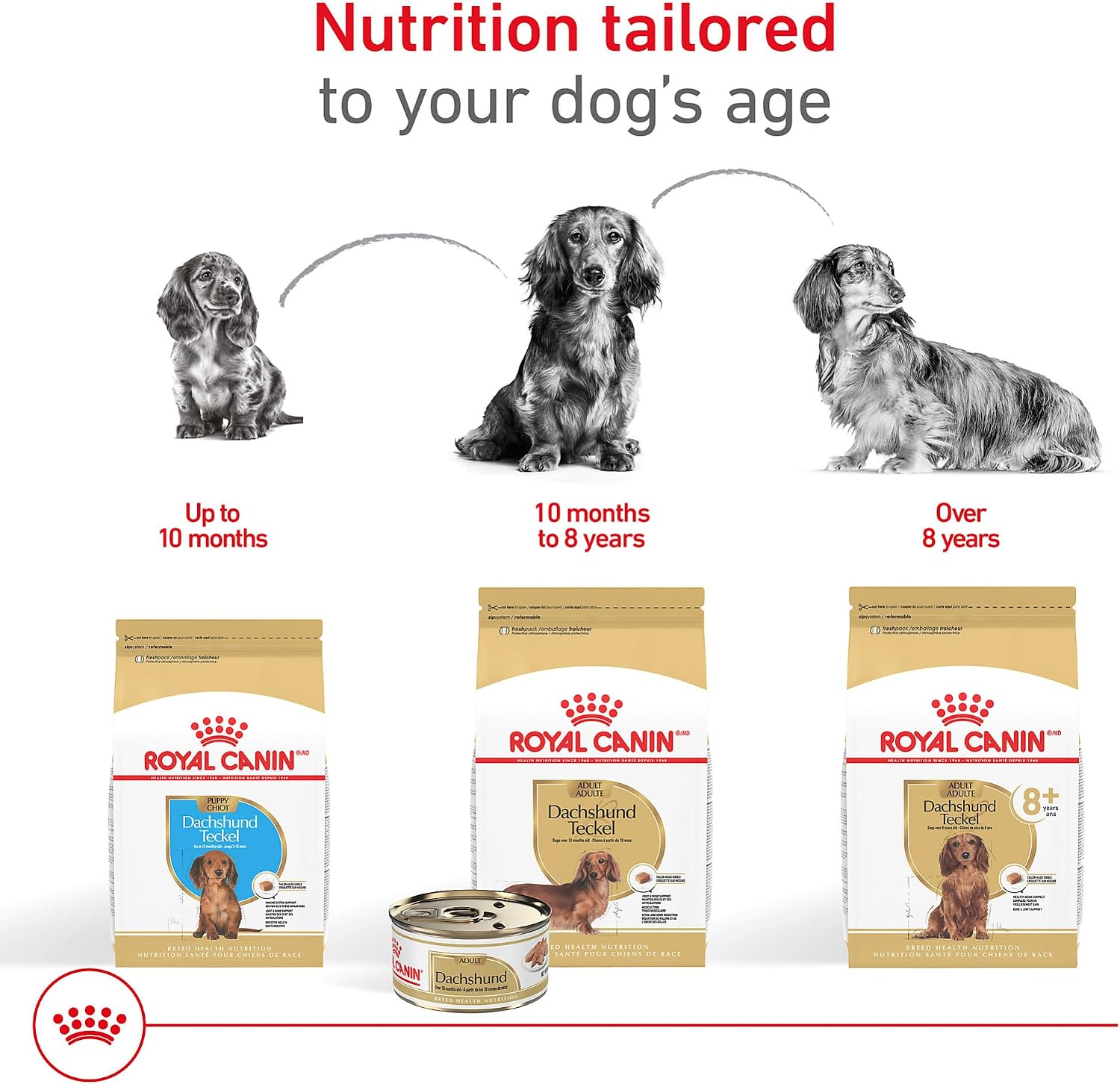 Royal Canin Breed Health Nutrition Dachshund Adult Loaf in Sauce Dog Food, 3 oz (Pack of 24)