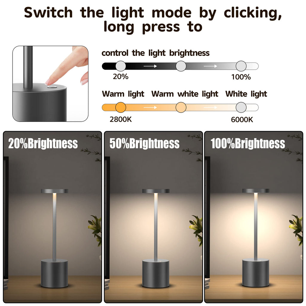 2Pack Cordless Table Lamp, Rechargeable LED Battery 5000mAh Metal USB Portable Powered Desk Lamp, 3 Levels Brightness Light for Restaurants Outdoor (2pack 10.25in Titanium)