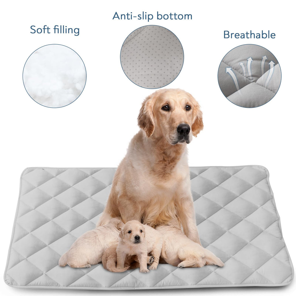 Magik & Kover Dog Crate Pad 2 Pack, Soft Dog Crate Mat with Anti-Slip Bottom, Machine Washable Kennel Pad, Fits 24 Inch, Grey