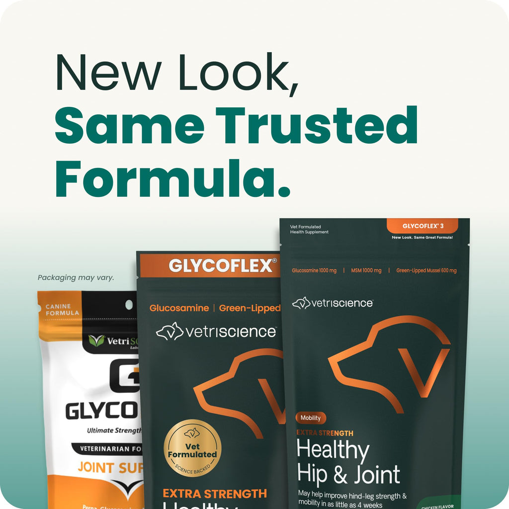 VetriScience Glycoflex 3 Vet Strength Glucosamine for Dogs Hip and Joint Supplement - Clinically Proven Mobility and Joint Supplement with MSM, DMG and Green Lipped Sea Mussel, Chicken, 60 Chews