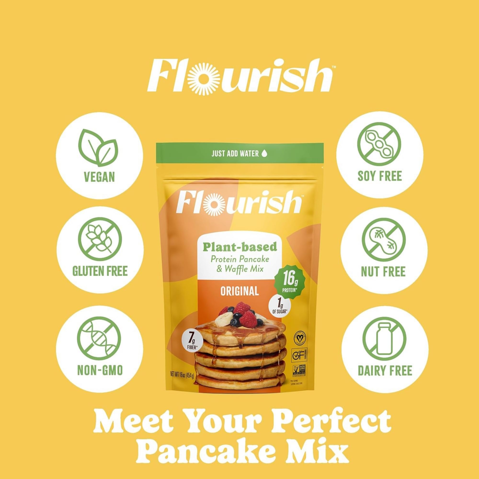Flourish Protein Pancake & Waffle Mix, with Whey Protein & Flax Seed, No Added Sugar, High in Protein & Fiber - Just Add Water - Birthday Cake Flavour 16oz (2 pack)