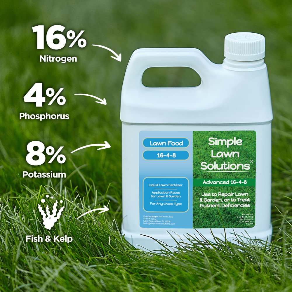 Advanced 16-4-8 Lawn Fertilizer - Liquid Lawn Food Spring & Summer Concentrated Spray - Any Grass Type- Fish and Seaweed Kelp- Balanced NPK - Simple Lawn Solutions (1 Gallon)