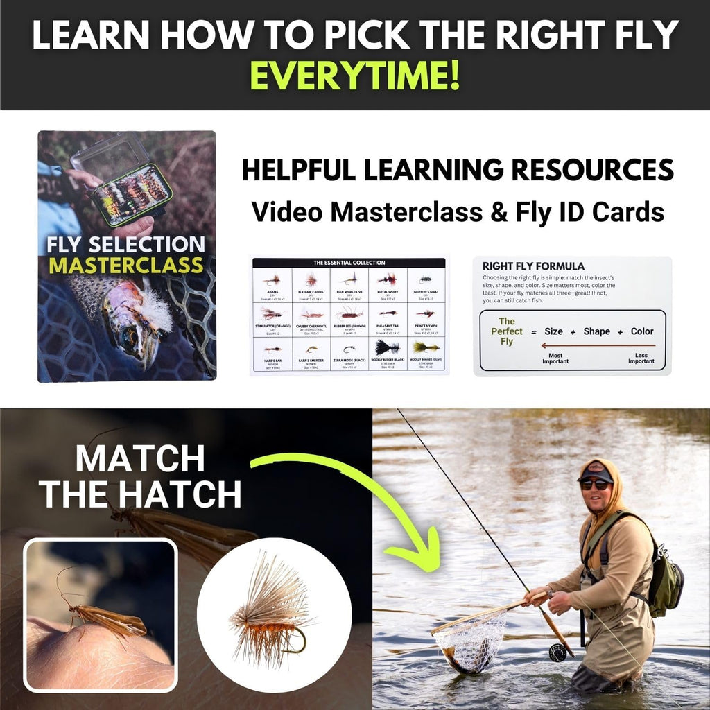 Ventures Fly Co. | 40 Premium Hand Tied Fly Fishing Flies Assortment | Fly Box Included | Dry, Wet, Nymphs, Streamers, Wooly Buggers, Terrestrials | Trout, Bass Lure Set, Kit