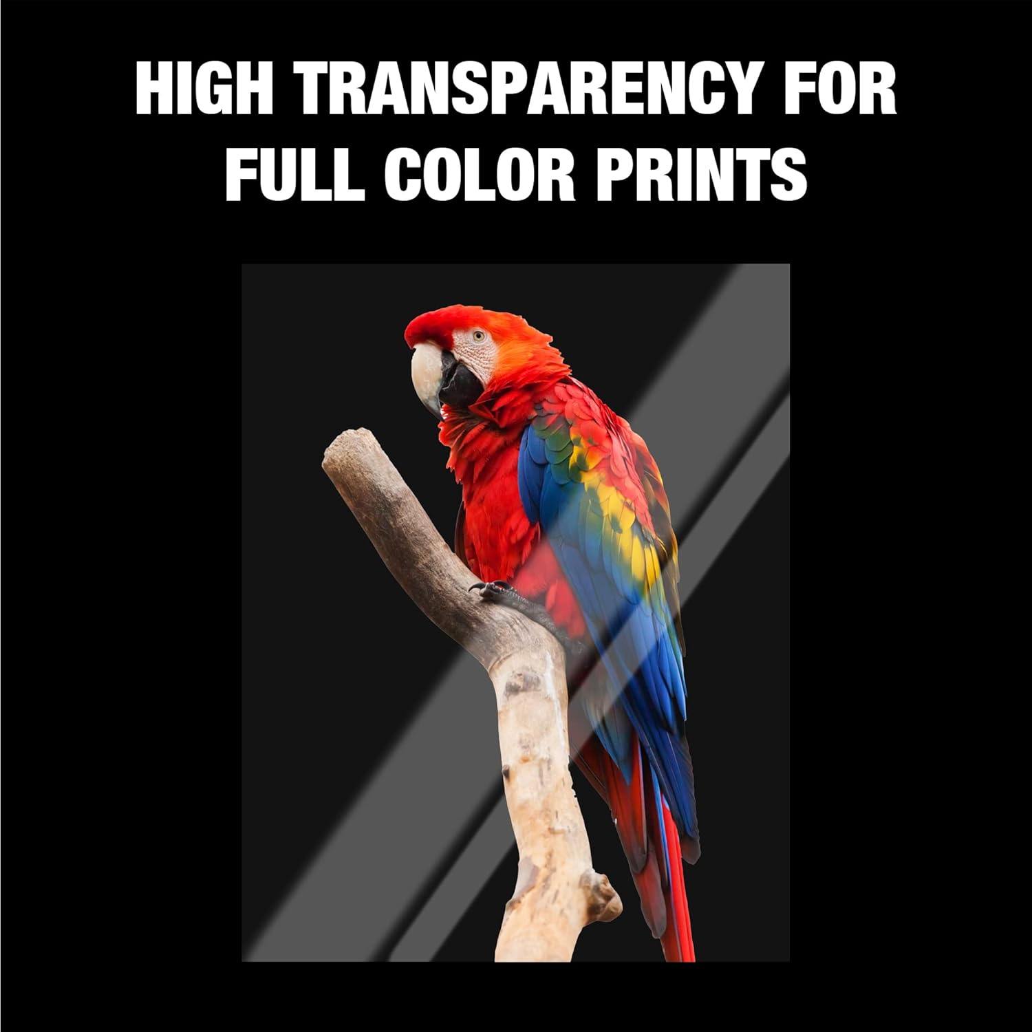 Samsill 100 Pack Transparent Printer Sheets, Projector Film, Clear Transparency Film for Laser Jet Printers, 8.5 x 11 Inch Sheets - Black Image Only,