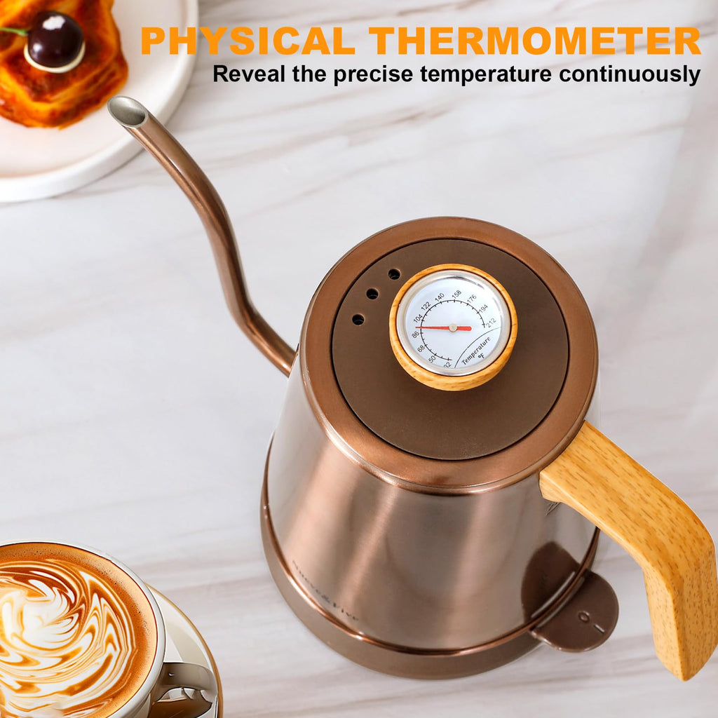 Nueve&Five Gooseneck Electric Kettle with Thermometer， Black Electric Kettle 1L with Auto Shut-Off，1000W Hot Water Kettle of Stainless Steel， Pour Over Kettle for Coffee & Tea