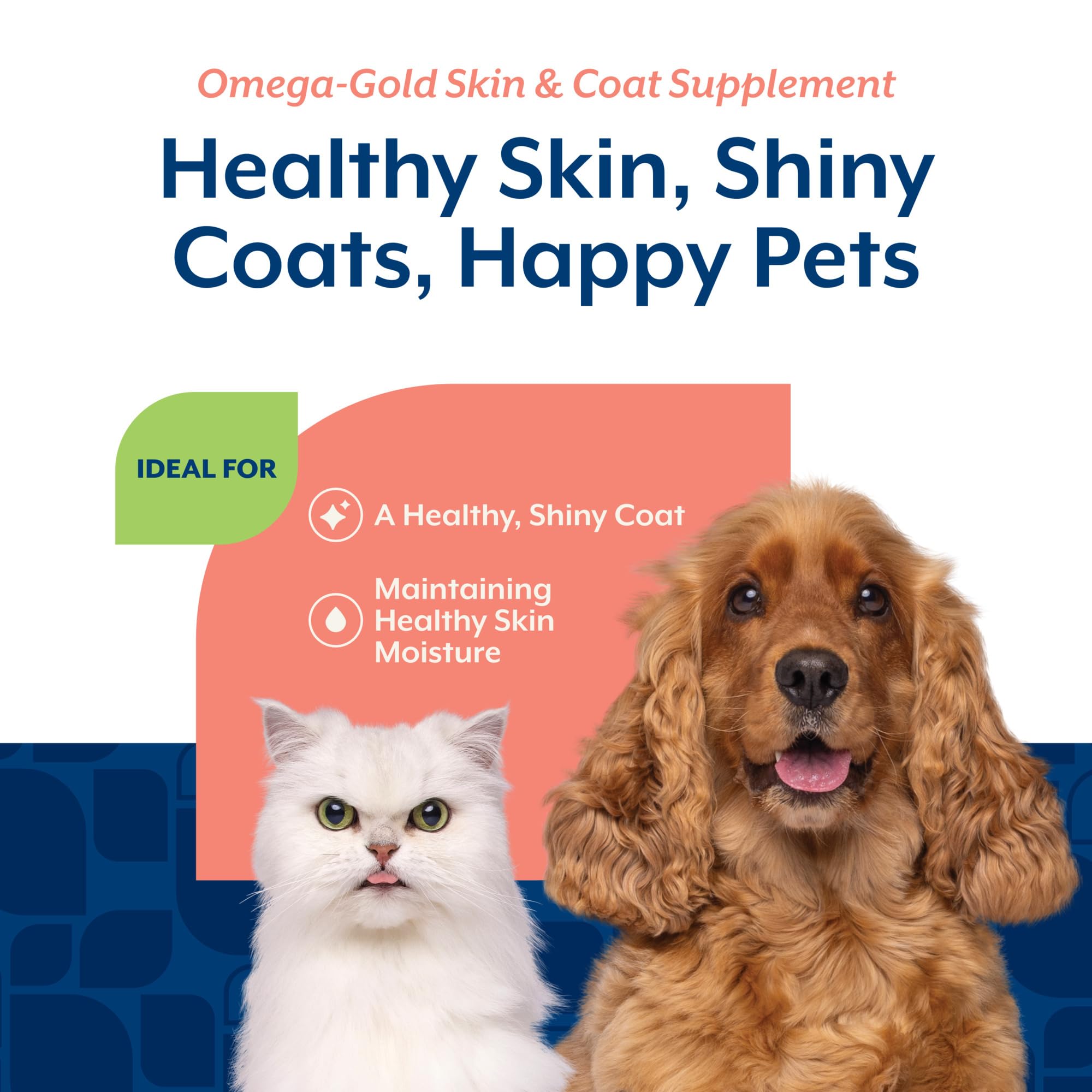 NaturVet – Salmon Oil Skin & Coat Plus Omegas – Supports Healthy Skin & Glossy Coat – Source of Omega-3 & 6 Fatty Acids – for Dogs & Cats (8.75 oz Oil)