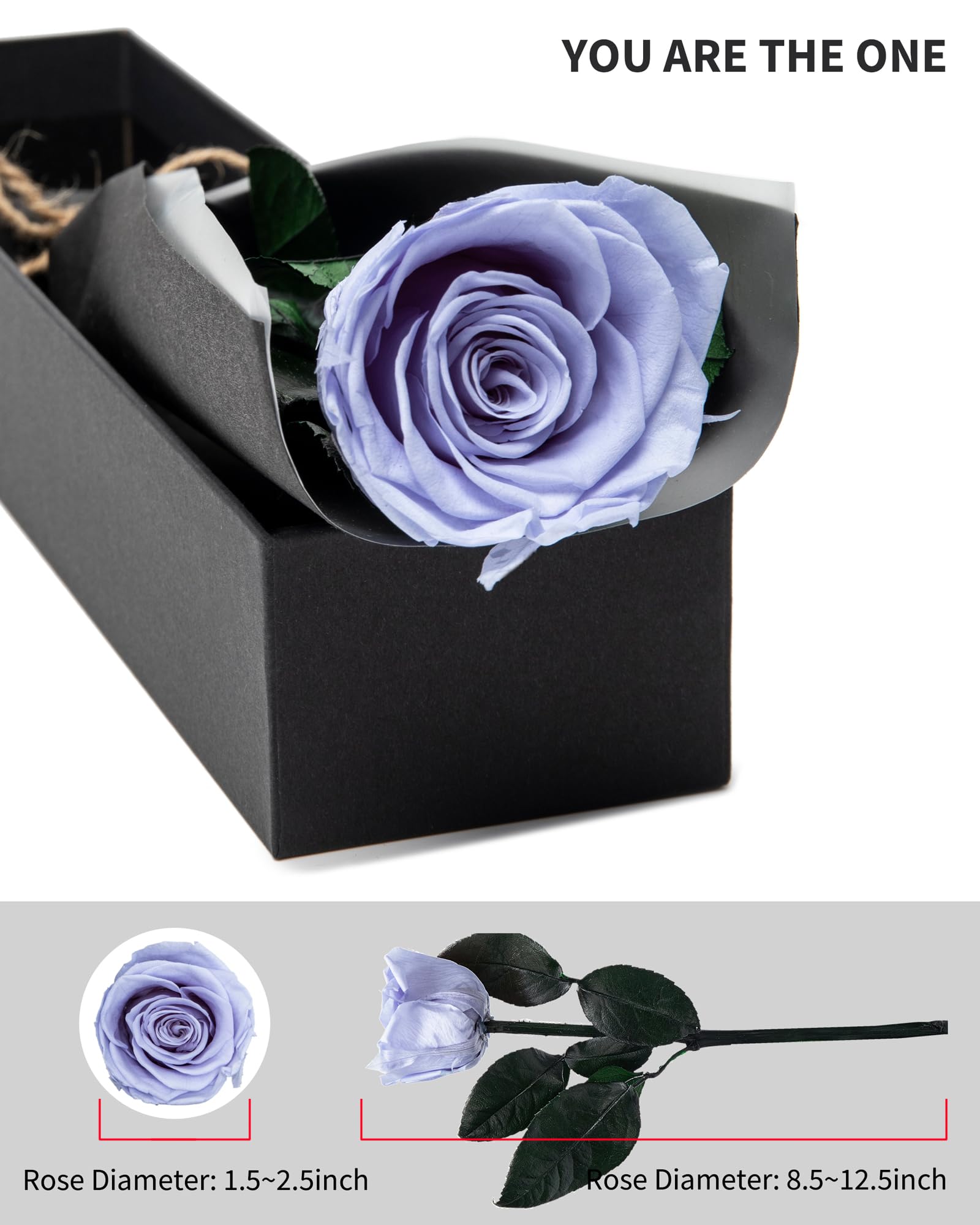 Flowers for Delivery Prime, Preserved Roses Flower Gifts for Women, Real Roses Single Rose Presents for Her, Mom Birthday Gifts from Daughter, Valentines Flowers Red Roses