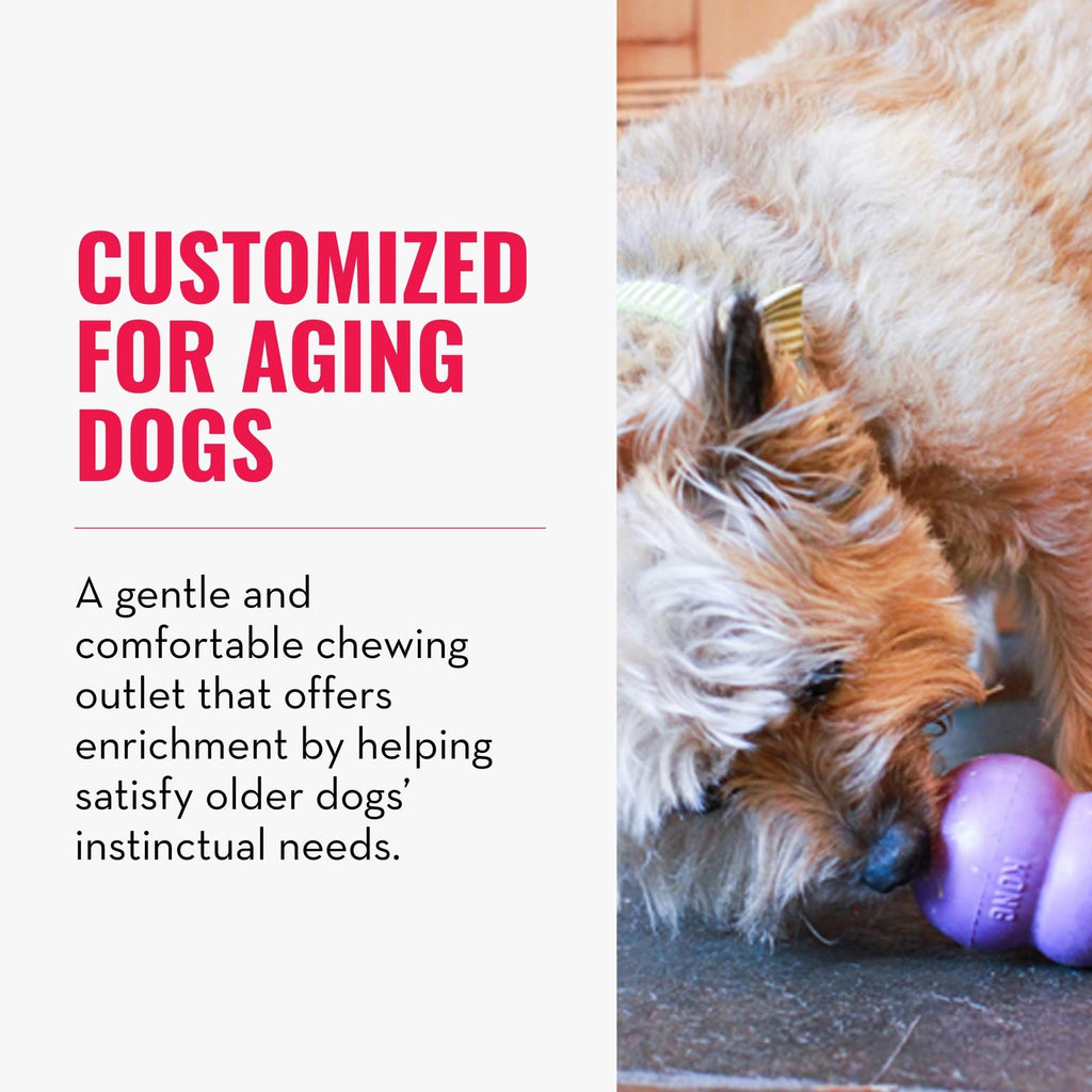 KONG Senior - Dog Toy with Gentle, Natural Rubber - Durable Dog Toy for Older Dogs - Use Treats with Stuffable Chew Toy - Treat Toy for Chewing & Fetching - for Small Dogs
