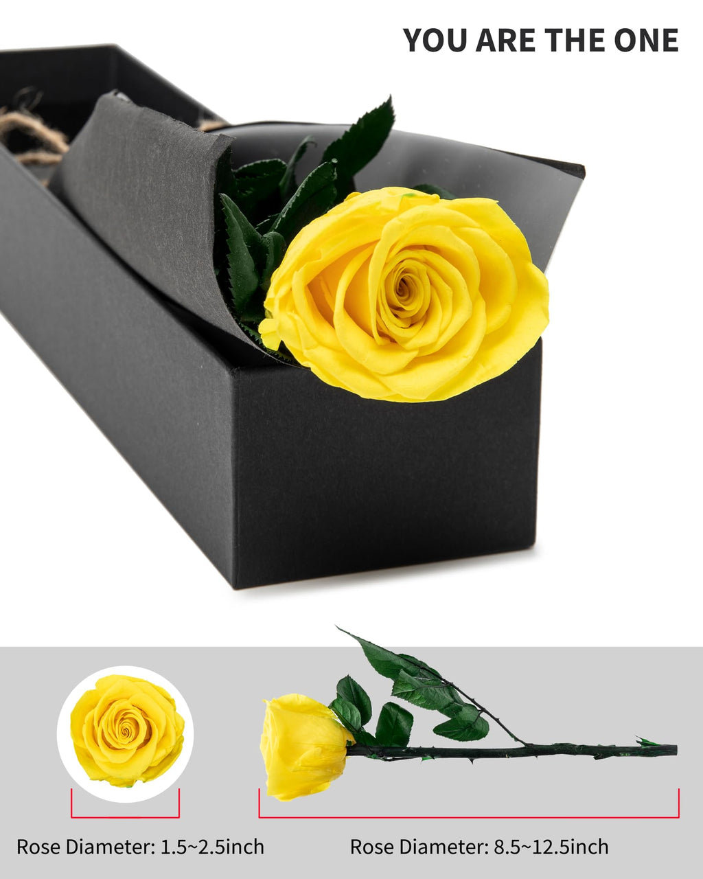 Flowers for Delivery Prime, Preserved Roses Flower Gifts for Women, Real Roses Single Rose Presents for Her, Mom Birthday Gifts from Daughter, Valentines Flowers Red Roses
