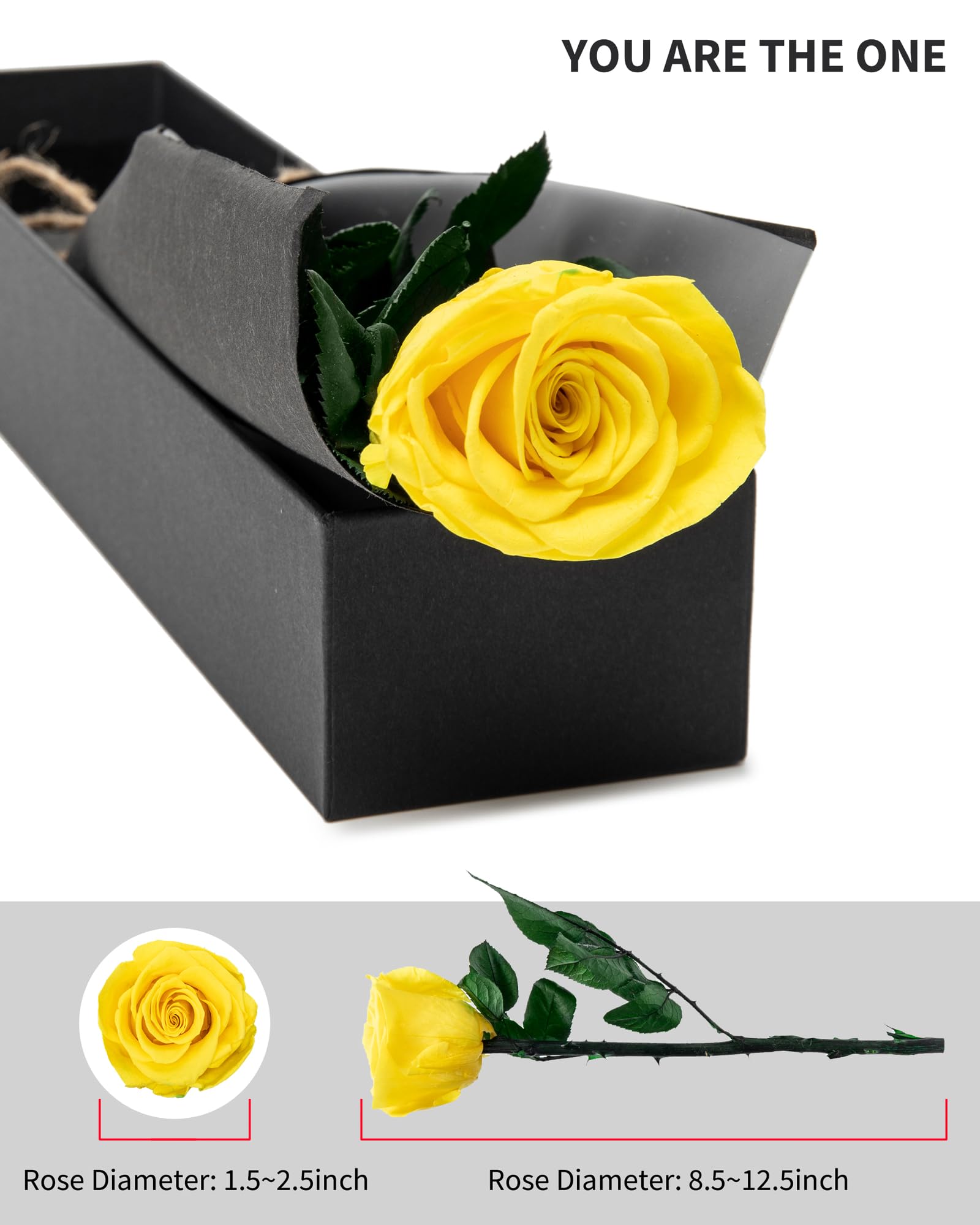 Flowers for Delivery Prime, Preserved Roses Flower Gifts for Women, Real Roses Single Rose Presents for Her, Mom Birthday Gifts from Daughter, Valentines Flowers Red Roses