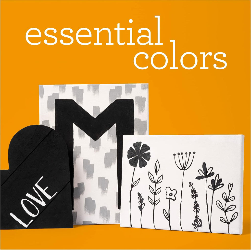 Acrylic Paint Set, Includes 2 x 16 fl oz White and Black Paint