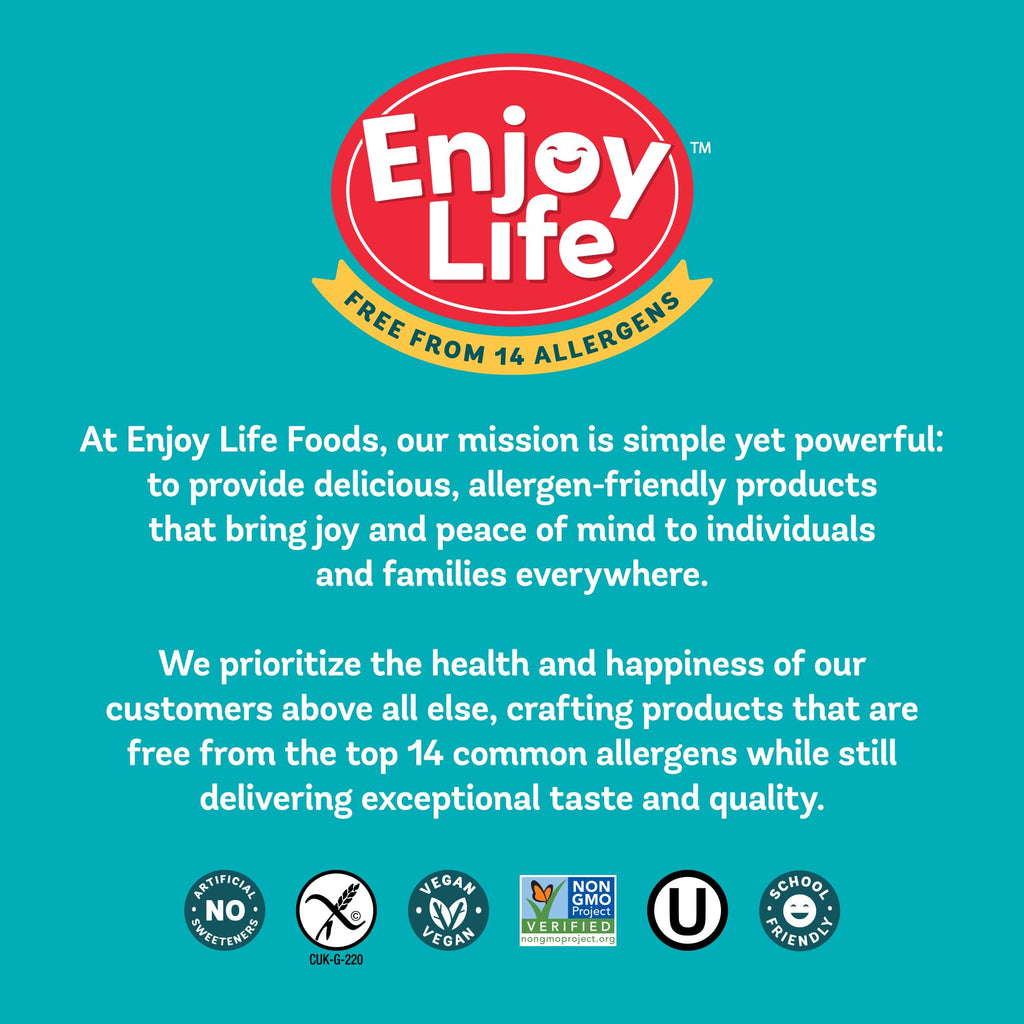 Enjoy Life Baking Dark Chocolate Morsels, Dairy Free , Soy Free, Nut Free, Non GMO, Gluten Free, Vegan Chocolate Chips, 9 oz bag