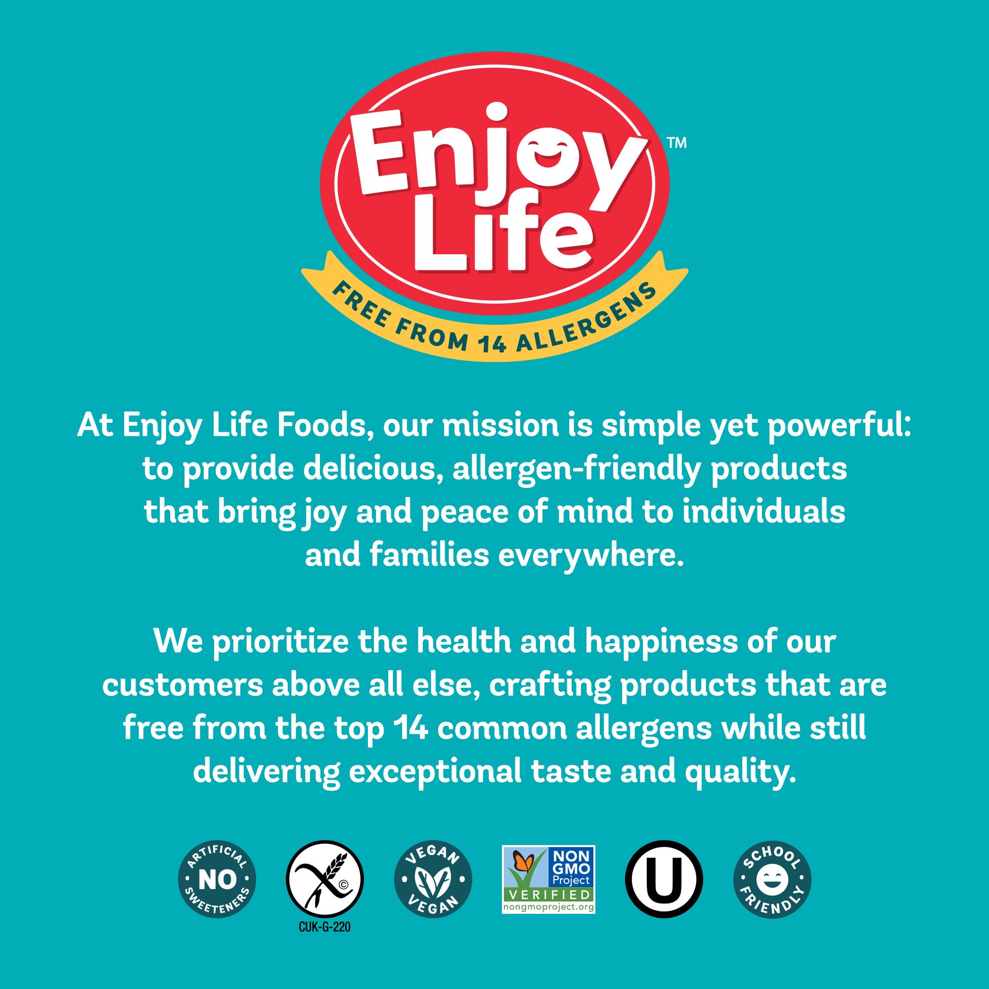 Enjoy Life Baking Dark Chocolate Morsels, Dairy Free , Soy Free, Nut Free, Non GMO, Gluten Free, Vegan Chocolate Chips, 9 oz bag
