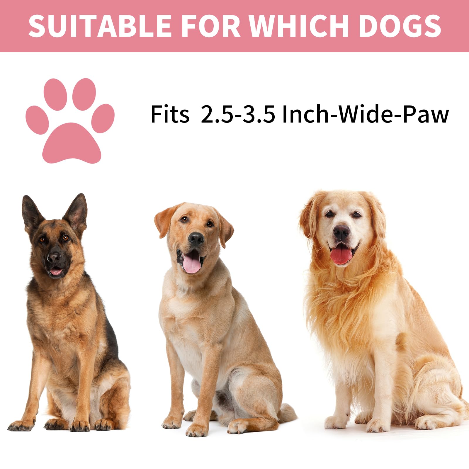 Professional 7 in 1 Dog Paw Cleaner for Dogs & Cats - Includes 1 Portable Paw Washer, 1 Bath Brush, 2 Dog Toothbrushes and 3 Absorbent Towels Note: Fits Paws up to 2 Inches Wide (Small, Black)
