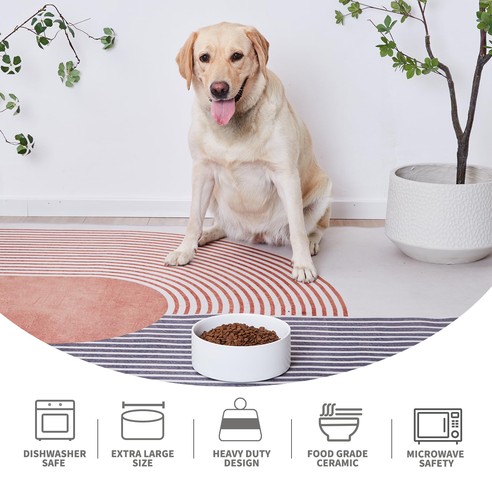 6'' Ceramic Raised Dog Bowl - 30Oz Dog Food & Water Bowl with Elevated Non-Slip Bamboo Stand, Dishwasher & Microwave Safe, Anti Vomiting Heavy Duty Pet Bowl for Small and Medium Dogs, Black