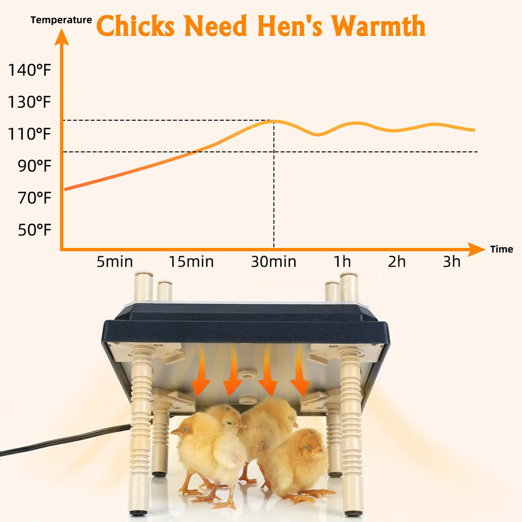 Brooder Heater for Chicks: Chick Brooder Heating Plate with Easy- Cleaning Plate Poultry Coop Heater Chicks Warmer 10" x 10" for 15 Chicks Adjustable Height Brooding Heater 15 Watts