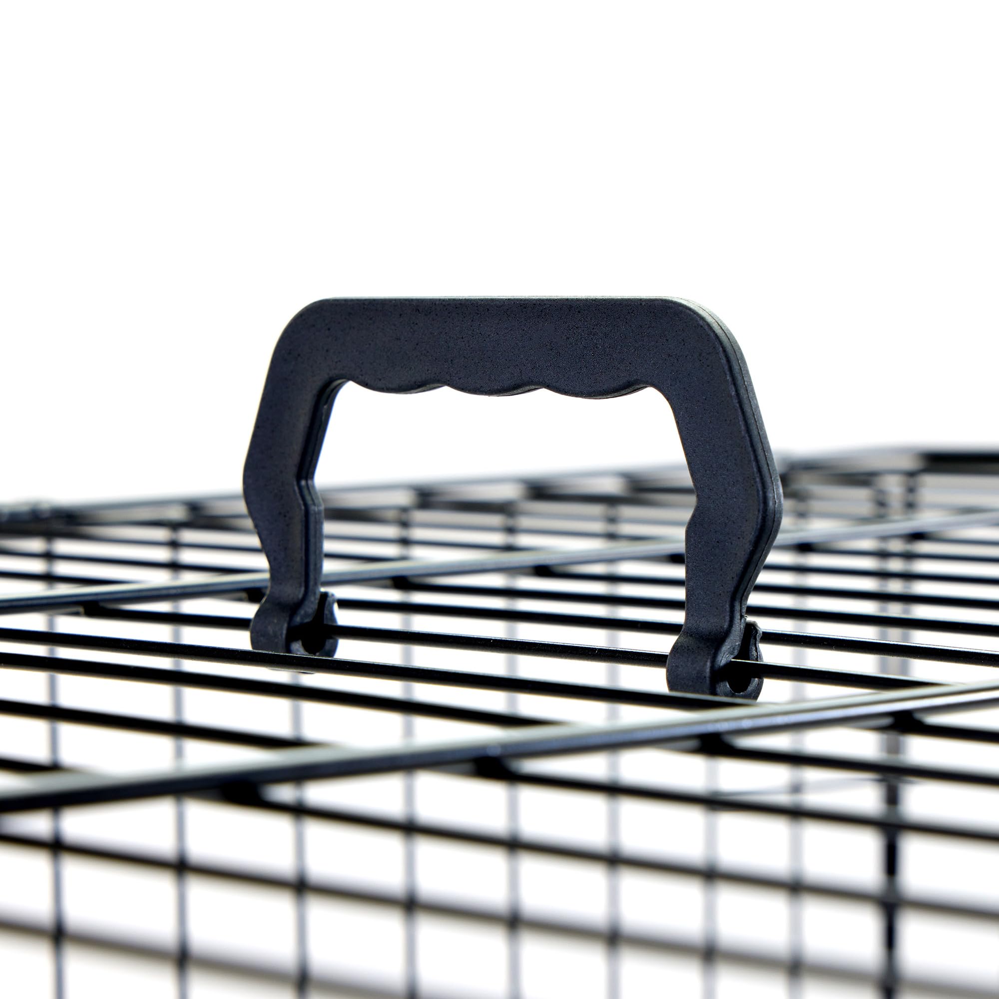Carlson Secure and Compact Double Door Metal Dog Crate, Medium with Divider Panel