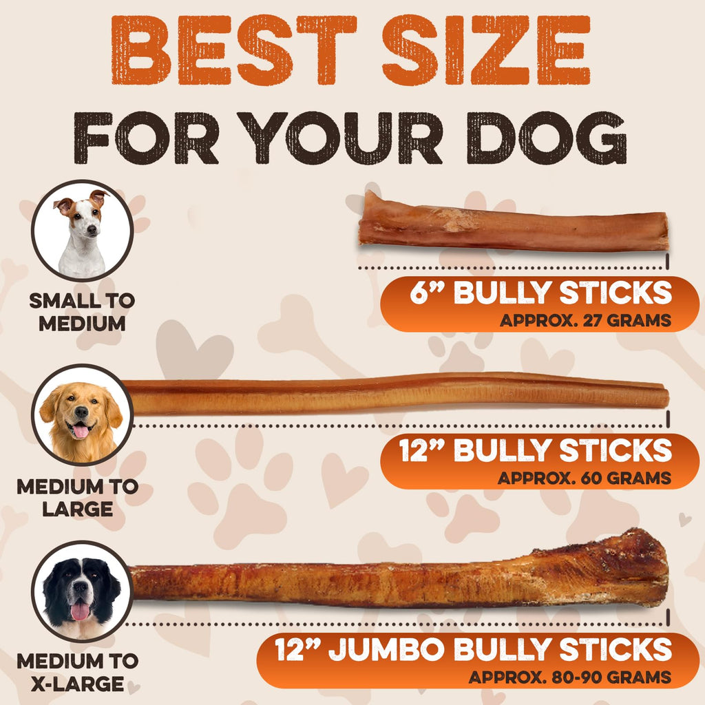 BRUTUS & BARNABY 6 Inch Bully Sticks for Dogs (10 Count) – Natural Grass-Fed Beef Chews, Odor Free, Single Ingredient, Fully Digestible, Rawhide Free for Small, Medium & Large Dogs