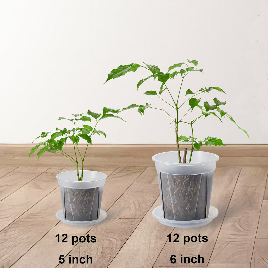 24 pcs 6/5 inch Clear Nursery pots for Plants Saucers,5/6 inch Clear Heavy pots with Side Vents for Reporting Orchids,Aroid,Monstera, Indoor & Outdoor use