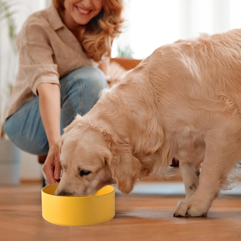 6'' Ceramic Raised Dog Bowl - 30Oz Dog Food & Water Bowl with Elevated Non-Slip Bamboo Stand, Dishwasher & Microwave Safe, Anti Vomiting Heavy Duty Pet Bowl for Small and Medium Dogs, Black