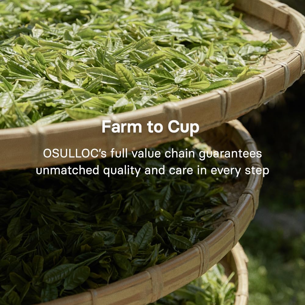 OSULLOC Volcanic Isle Matcha Powder, Ceremonial Grade Korean Matcha, Green tea powder from Jeju Island (1.41oz, 40g)