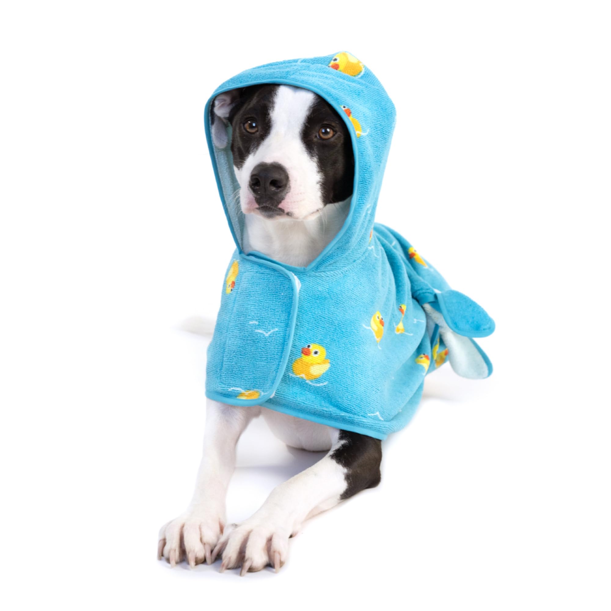 Barkbox Dog Bathrobe Fast Drying with Hook and Loop Closure & Wrap Tie Snuggle, Cute Dogs Clothes, Easy to Clean, Machine Washable, Dog Coats and Tumble Dry Low - Bunny, Medium