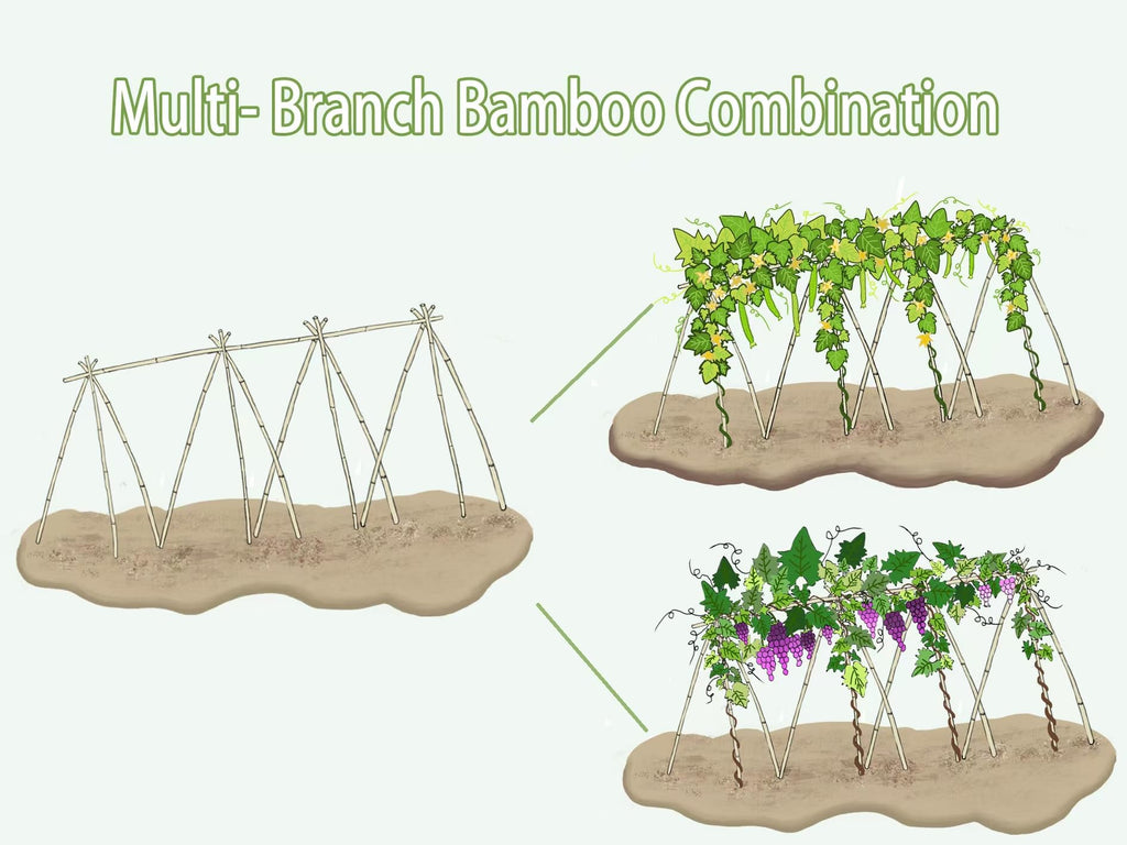Plant Bamboo Post,3Feet,Bamboo Garden Stakes,50PcsBamboo Stakes,for Tomato,Beans,Vegetable and Flowers, Potted Plants,Indoor and Outdoor Climbing Plants