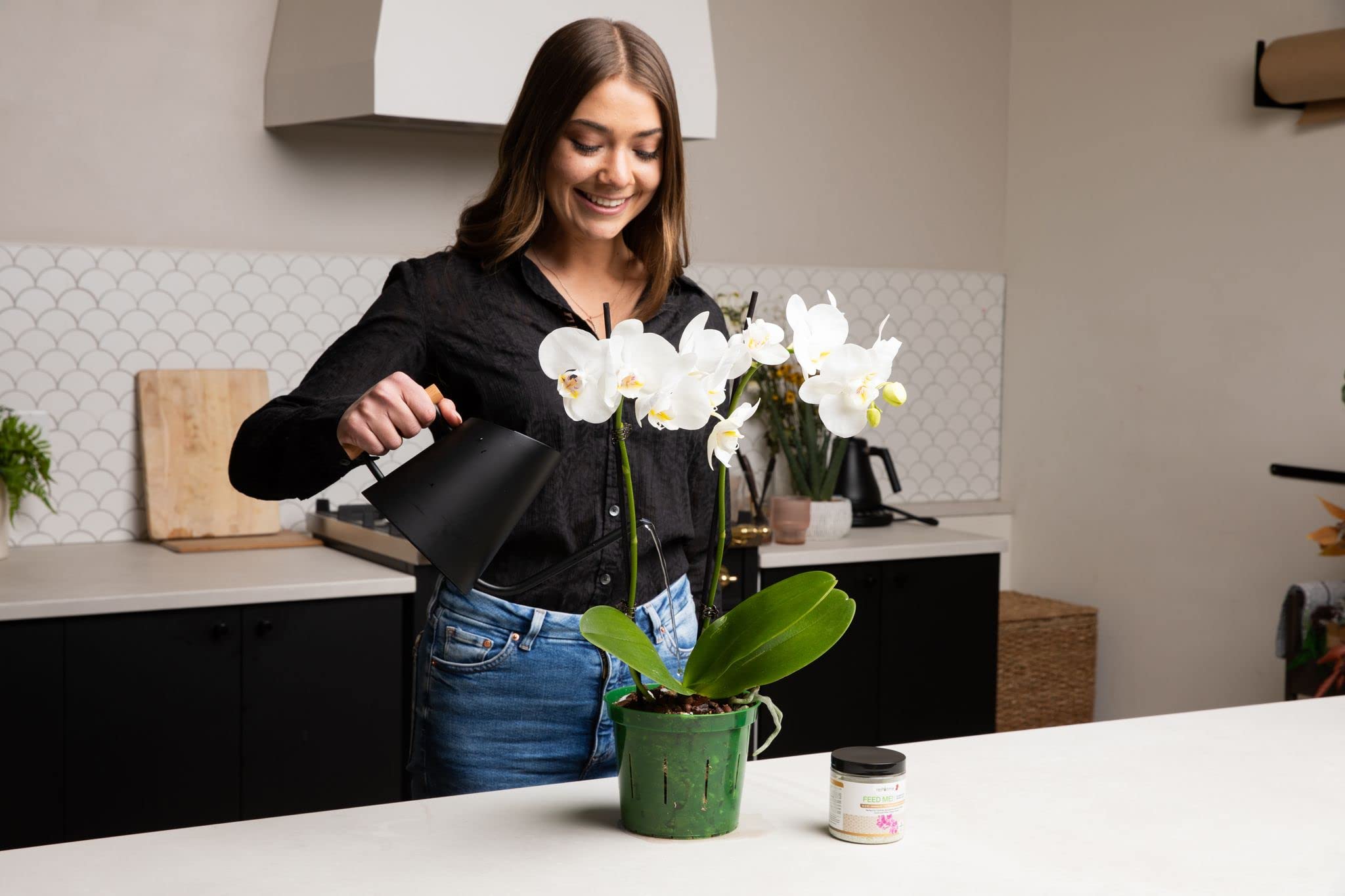 rePotme 3 inch Orchid Pot 3 Pack - Slotted Orchid Pots with Holes for Repotting (Blue Sapphire)