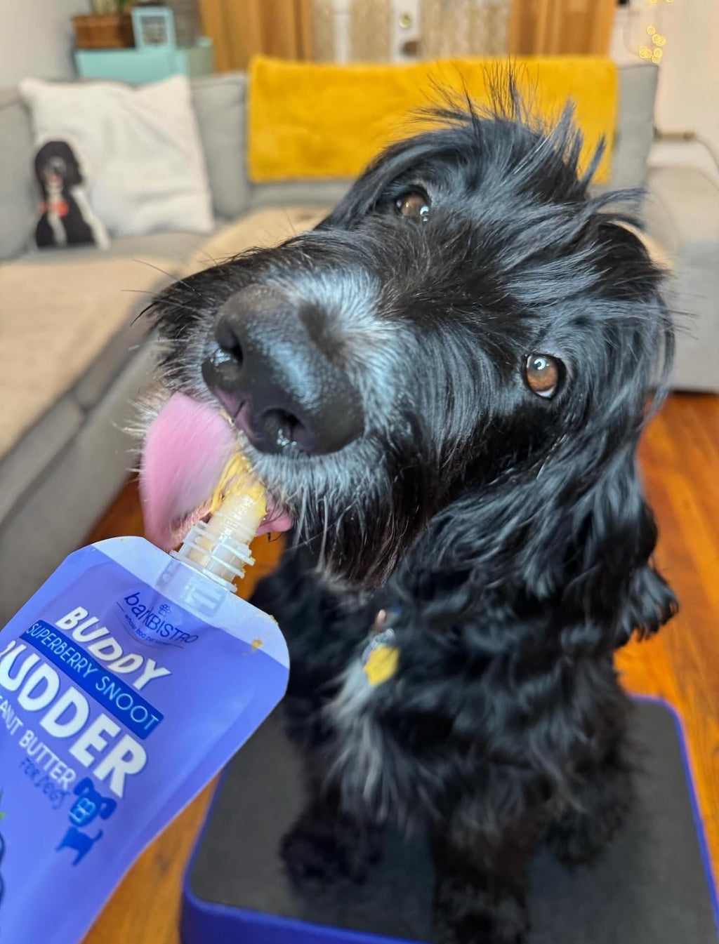 BUDDY BUDDER 6 Pack Mixed Flavor Squeeze Packs, 100% Natural Dog Peanut Butter, Healthy Peanut Butter Dog Treats, Made in USA, (4oz Packs)