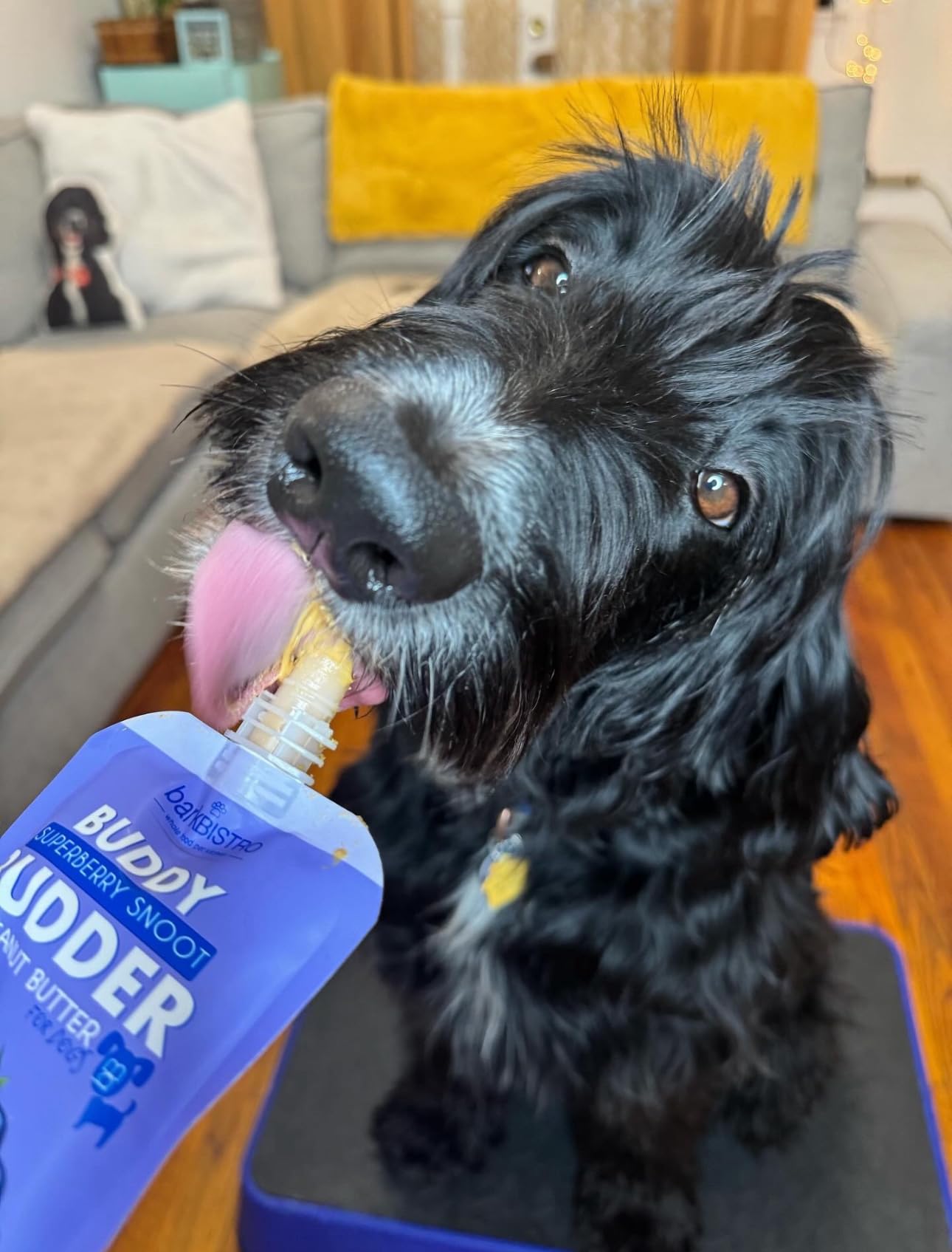 BUDDY BUDDER 6 Pack Mixed Flavor Squeeze Packs, 100% Natural Dog Peanut Butter, Healthy Peanut Butter Dog Treats, Made in USA, (4oz Packs)