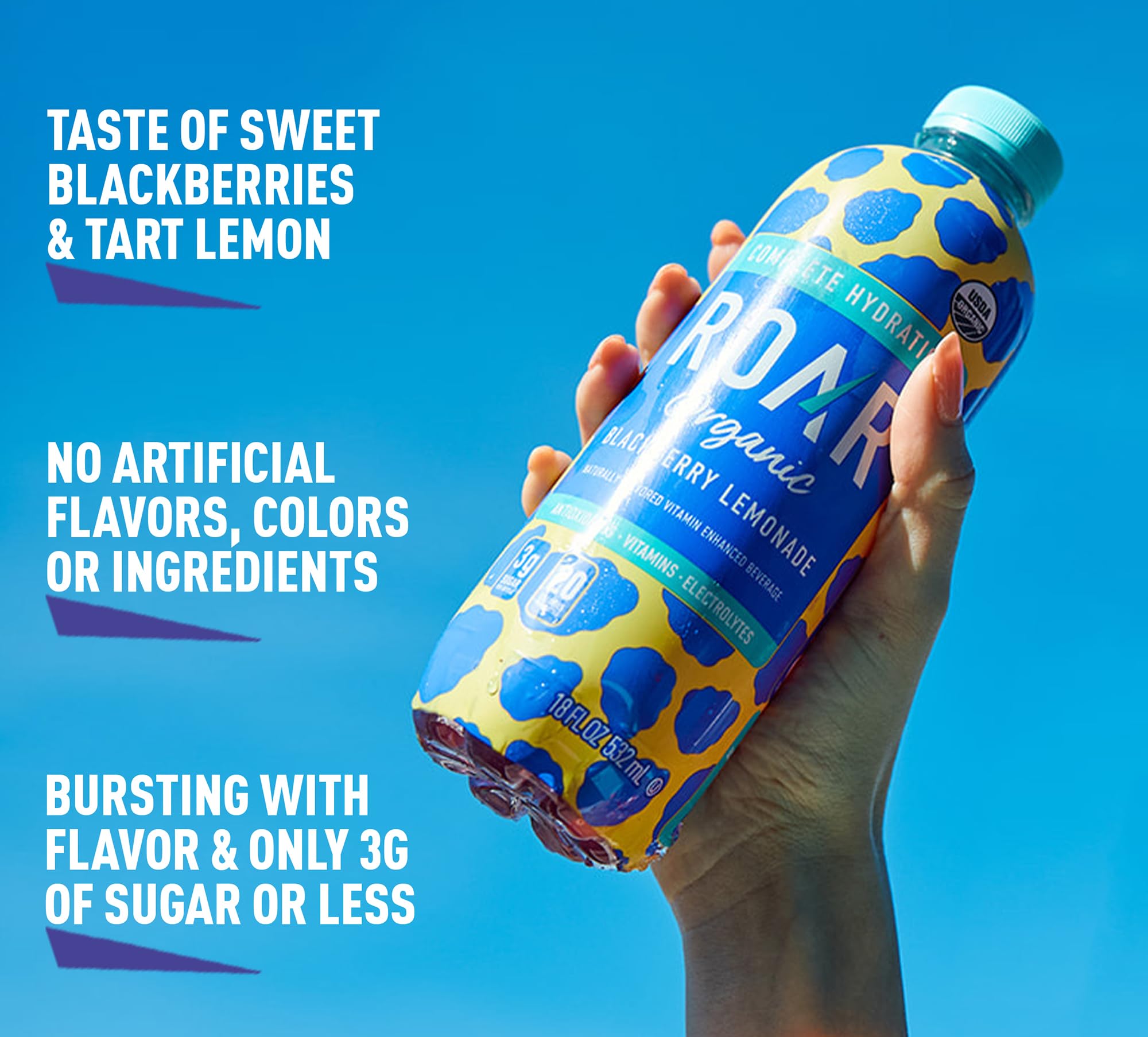 ROAR Complete Hydration Organic - Electrolyte Drinks Loaded with Vitamins C, B5, B12 - Non-GMO, Gluten-Free - Strawberry Lemonade - 12 pc