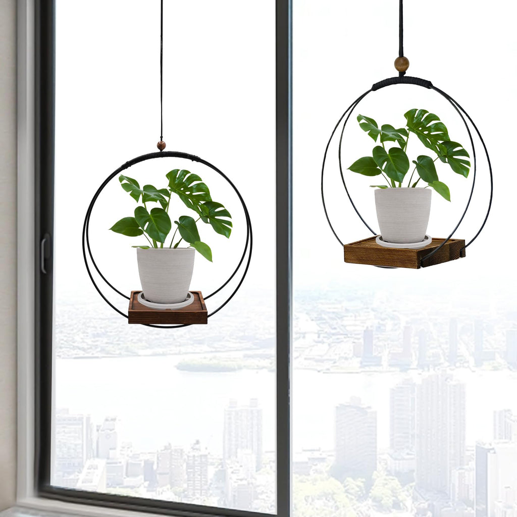 Hanging Planter for Indoor Plants, Black Plant Hanger Indoor with Sturdy Wood Base, Modern Boho Macrame Plant Hanger for 3-5.5 Inch Pot, Hanging Wall Ceiling Window Home Decor (Pots Not Included)