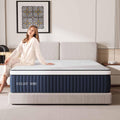 Queen Mattress, DIGLANT 14Inch Euro Top Memory Foam Hybrid Mattress, Medium Plush Feel Pocket Springs Queen Size Mattress for Pressure Relief, Edge Support Mattress in Box, CertiPUR-US, 60"*80"