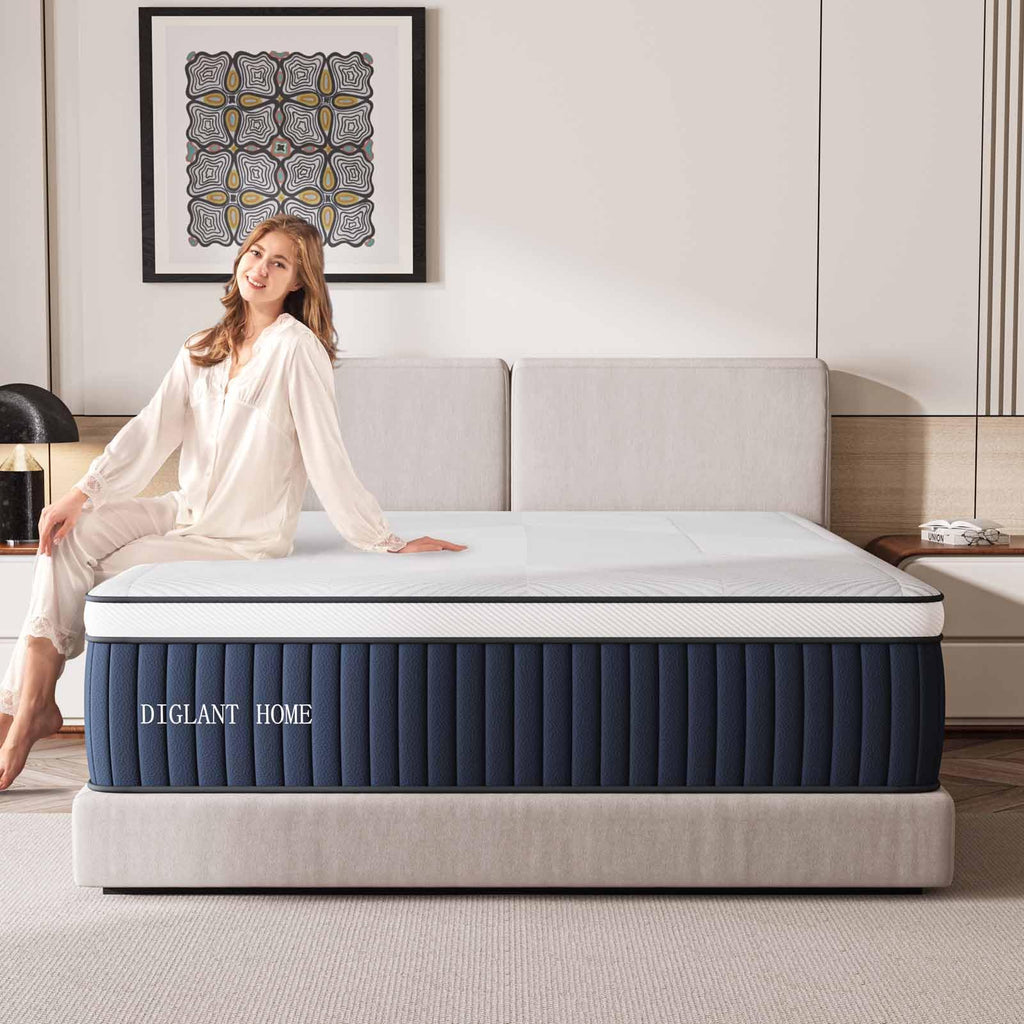 Queen Mattress, DIGLANT 14Inch Euro Top Memory Foam Hybrid Mattress, Medium Plush Feel Pocket Springs Queen Size Mattress for Pressure Relief, Edge Support Mattress in Box, CertiPUR-US, 60"*80"