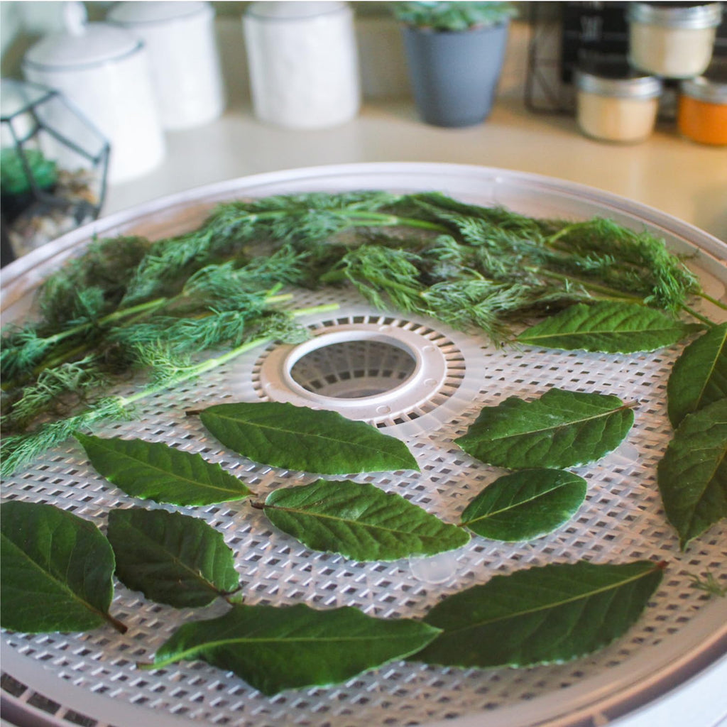 Nesco FD-61 Snackmaster Encore Food Dehydrator for Great Jerky and Snacks, 4 Trays, Gray