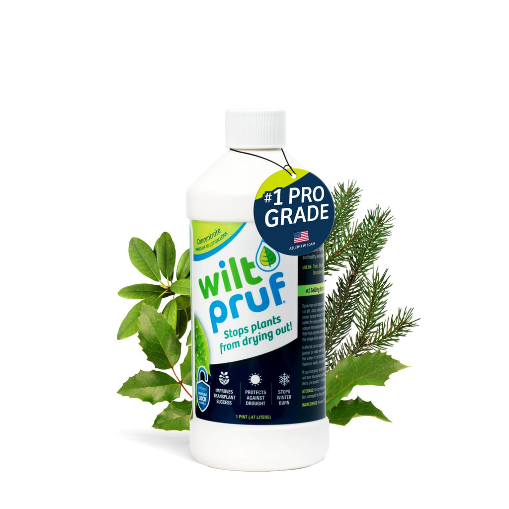 Wilt-Pruf® Concentrate | Protect Against Winter Damage, Drought, and Stress | Just Spray & Let Dry | Locks in Moisture w/Clear Foliar Film | Professional-Grade & Trusted | Replaces Burlap | (1 Gal)