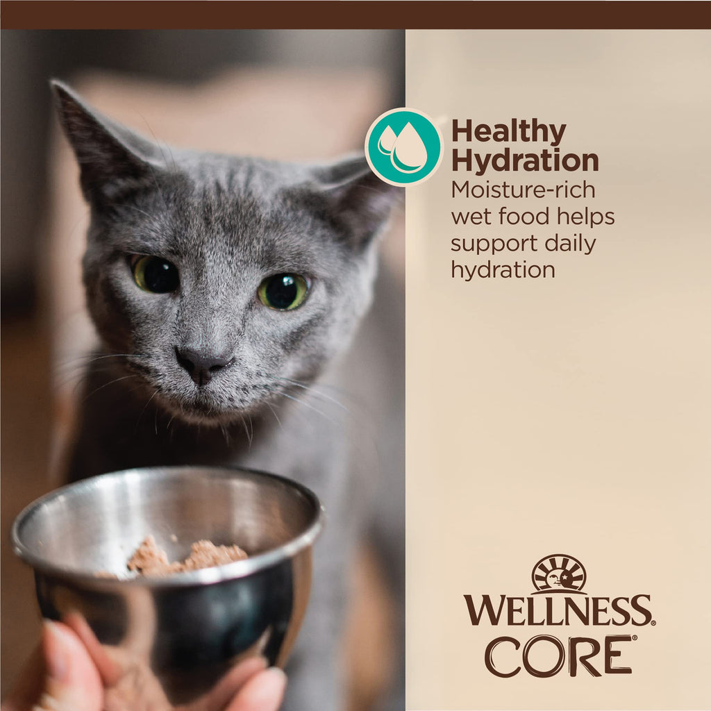 Wellness CORE Tiny Tasters Pate Adult Wet Cat Food, Natural, Protein Rich, Grain Free, Chicken Recipe, 1.75 oz, Pack of 12 Pouches
