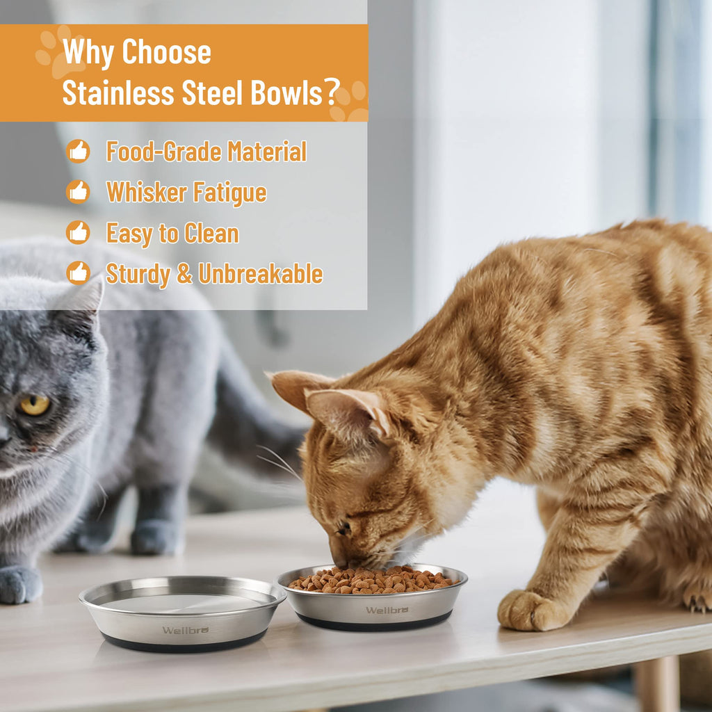 Cat Bowls, Stainless Steel Cat Bowls for Food and Water, Whisker Fatigue Shallow Non-Slip Dishes Plates for Small Dog Puppies Cats