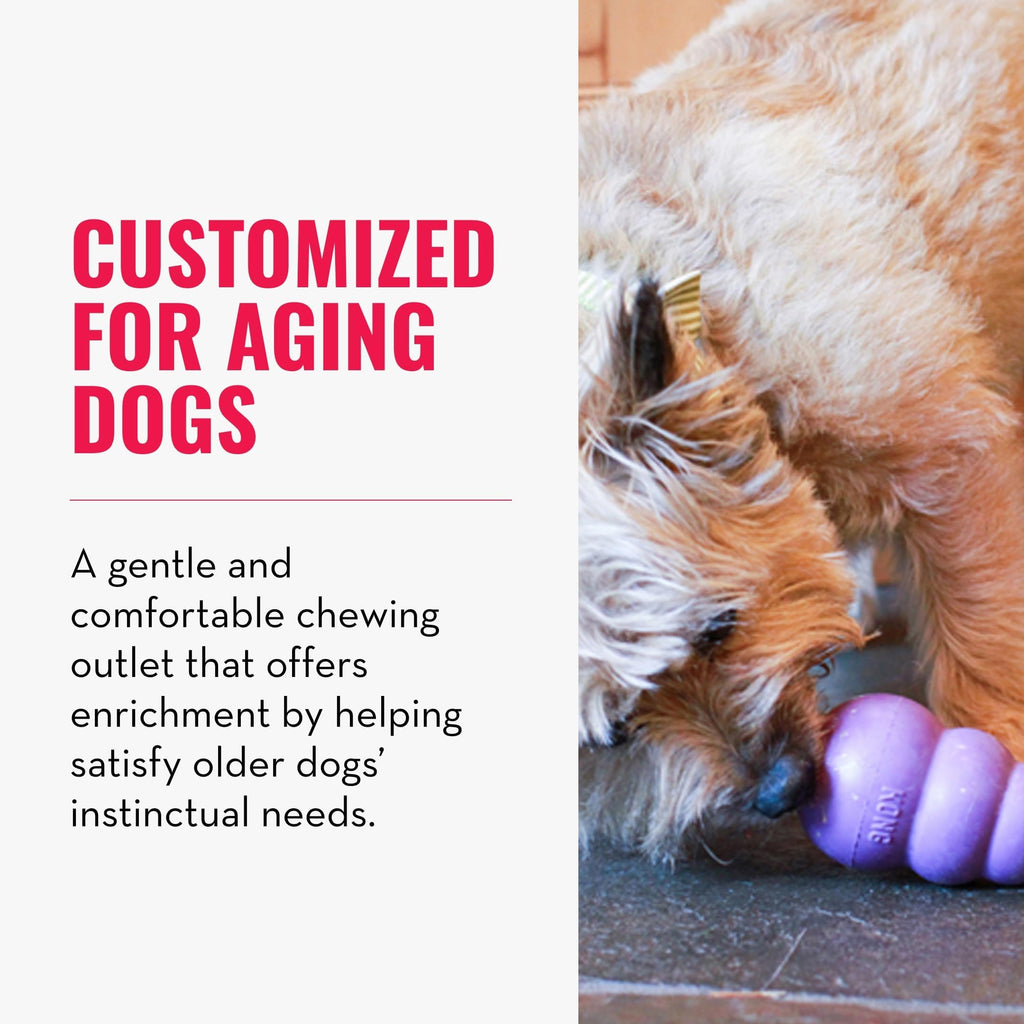 KONG Senior - Dog Toy with Gentle, Natural Rubber - Durable Dog Toy for Older Dogs - Use Treats with Stuffable Chew Toy - Treat Toy for Chewing & Fetching - for Small Dogs