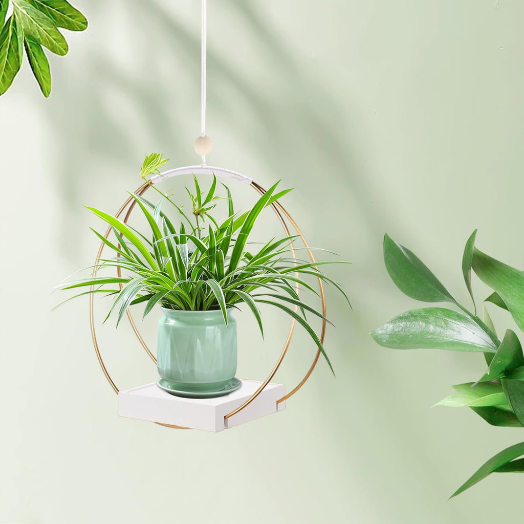 Hanging Planter for Indoor Plants, Black Plant Hanger Indoor with Sturdy Wood Base, Modern Boho Macrame Plant Hanger for 3-5.5 Inch Pot, Hanging Wall Ceiling Window Home Decor (Pots Not Included)