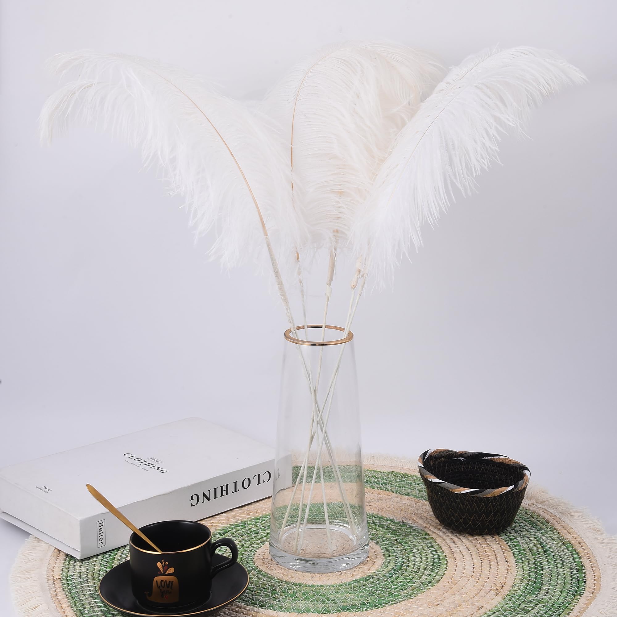 Ballinger Black Ostrich Feathers Bulk - Making Kit 12Pcs 16-18inch Large Ostrich Feathers for Floral Arrangement, Vase, Wedding Party Centerpieces and Halloween Home Decor