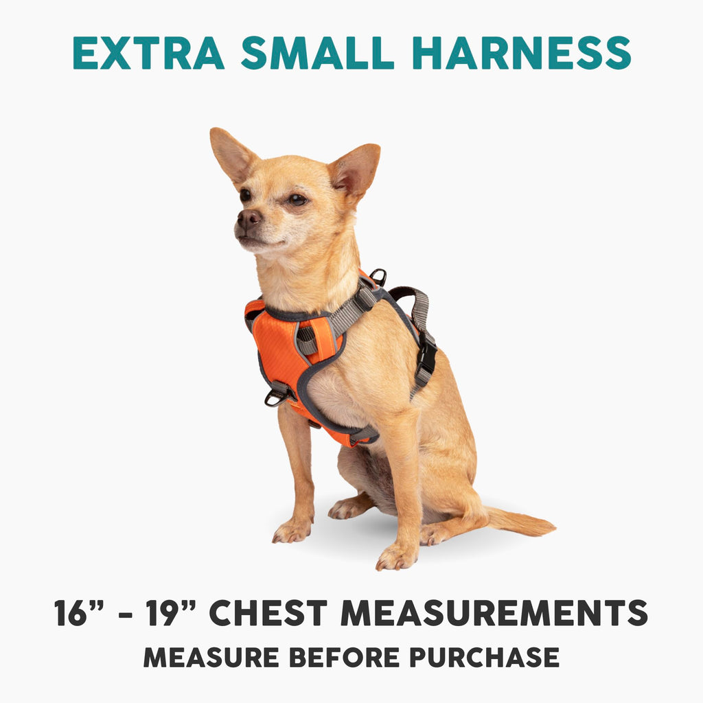 Embark Adventure Dog Harness for Small, Medium & Large Dogs – No Pull, Reflective Trim, Heavy Duty Oxford, 2 Leash Clips, Gel-Lined Handle, Soft Padded