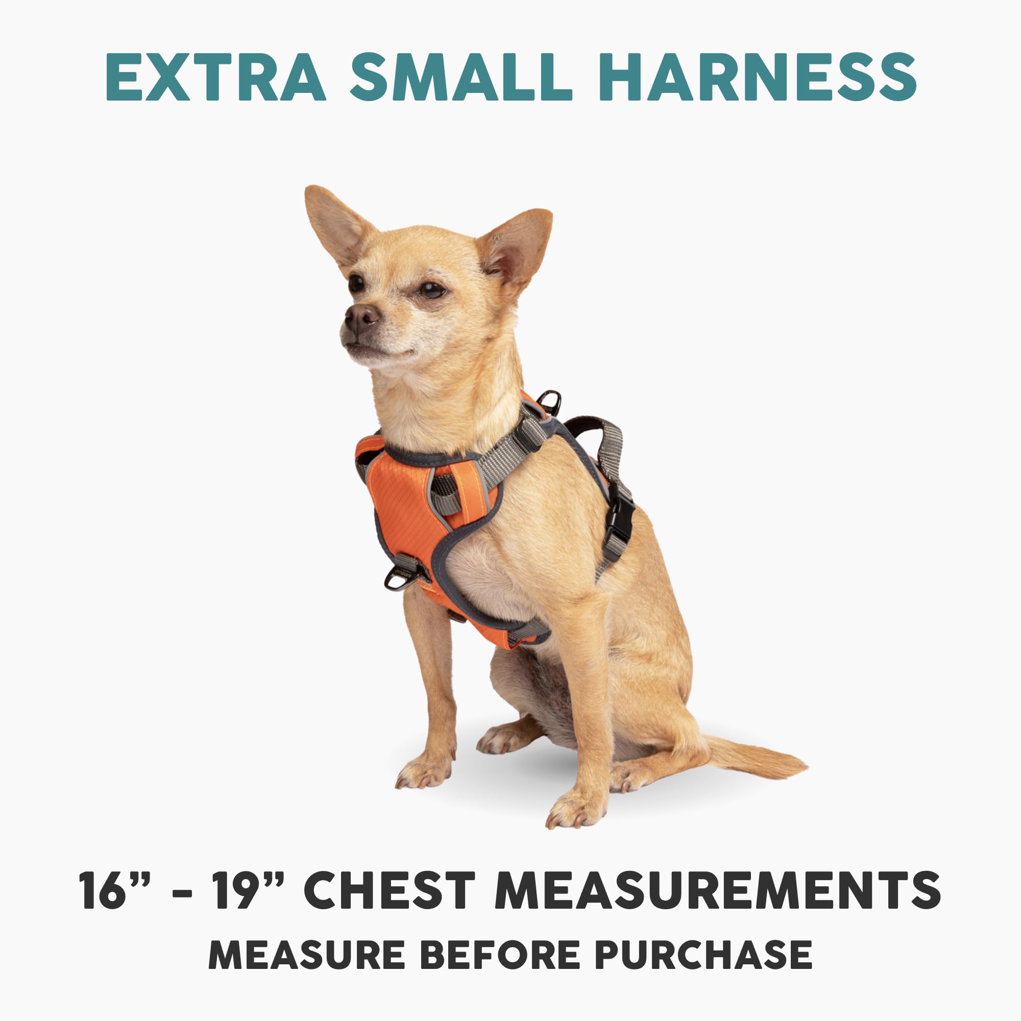 Embark Adventure Dog Harness for Small, Medium & Large Dogs – No Pull, Reflective Trim, Heavy Duty Oxford, 2 Leash Clips, Gel-Lined Handle, Soft Padded