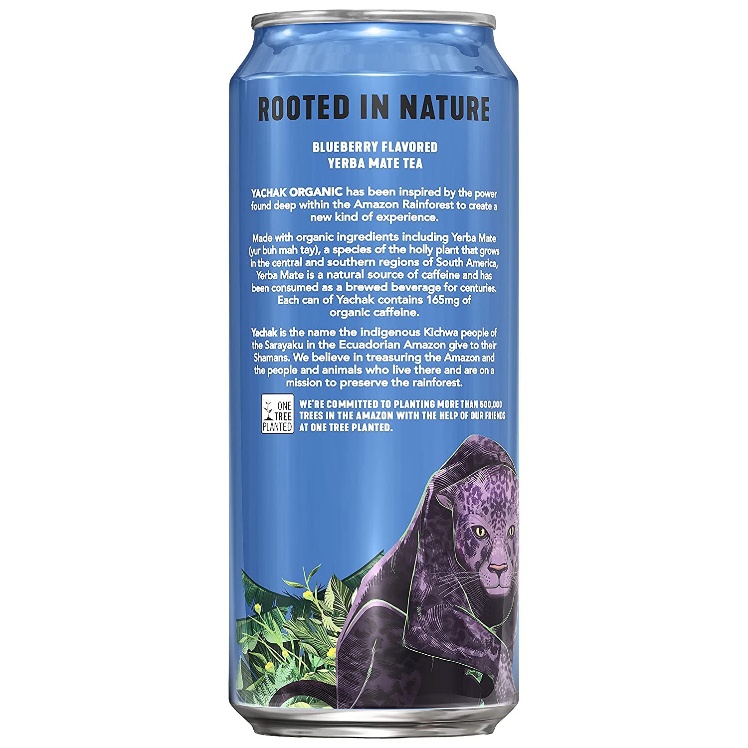 Yachak Yerba Mate Drink, Blackberry, 16 Fl Oz Cans, Pack of 12