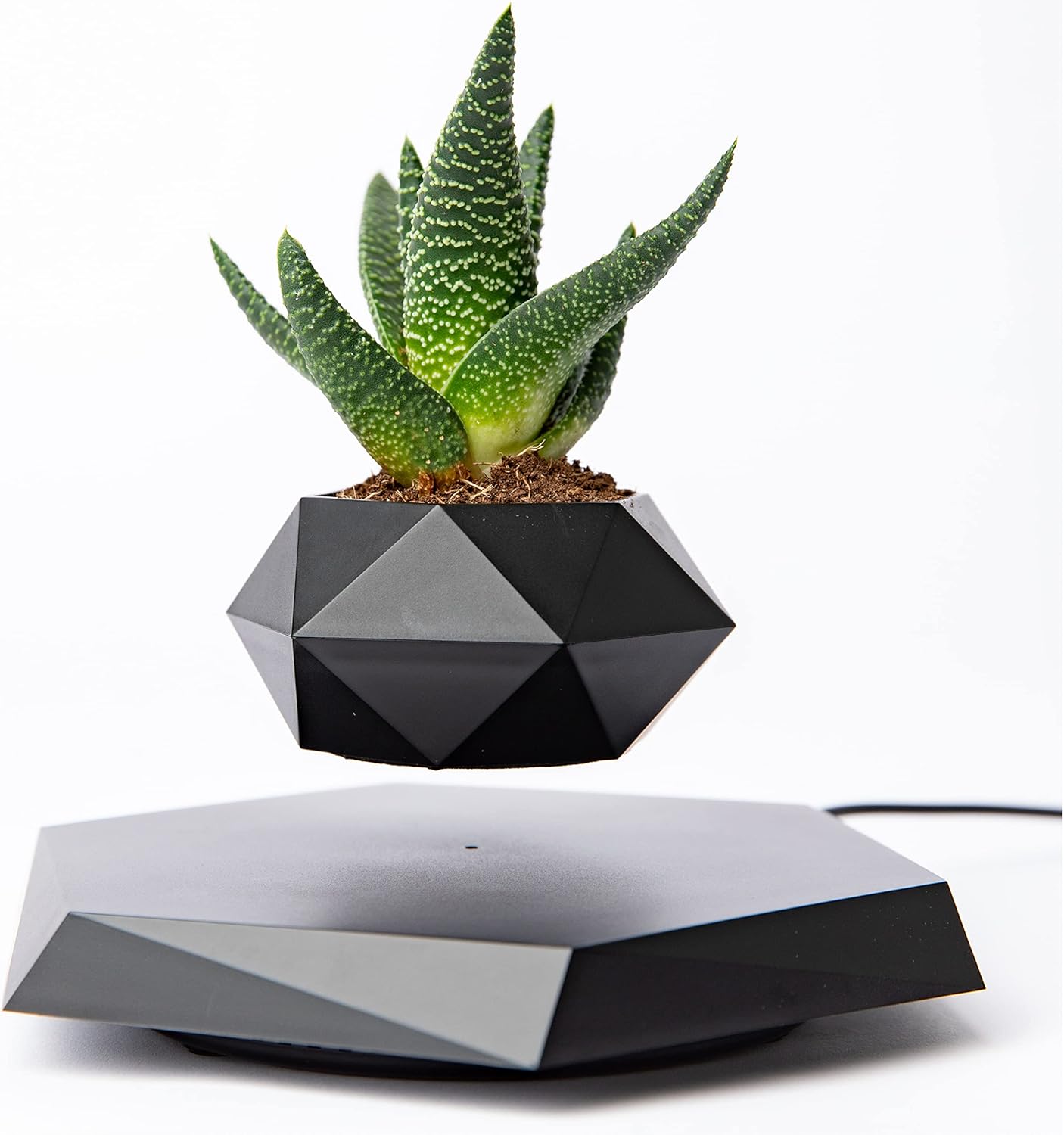 BandDlevs Floating Pots for Plants - Levitating Pot - Levitating Planter for Bonsai, Succulents, Air Plants - Floating Magnetic Display for Home Office Desks - Magnetic Levitation Plant Holder (Black)