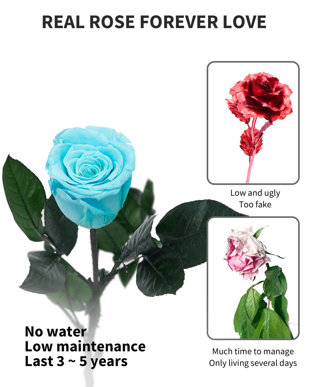 Flowers for Delivery Prime, Preserved Roses Flower Gifts for Women, Real Roses Single Rose Presents for Her, Mom Birthday Gifts from Daughter, Valentines Flowers Red Roses